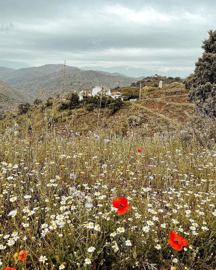 Finca Serrato Colmenar Bed & Breakfast